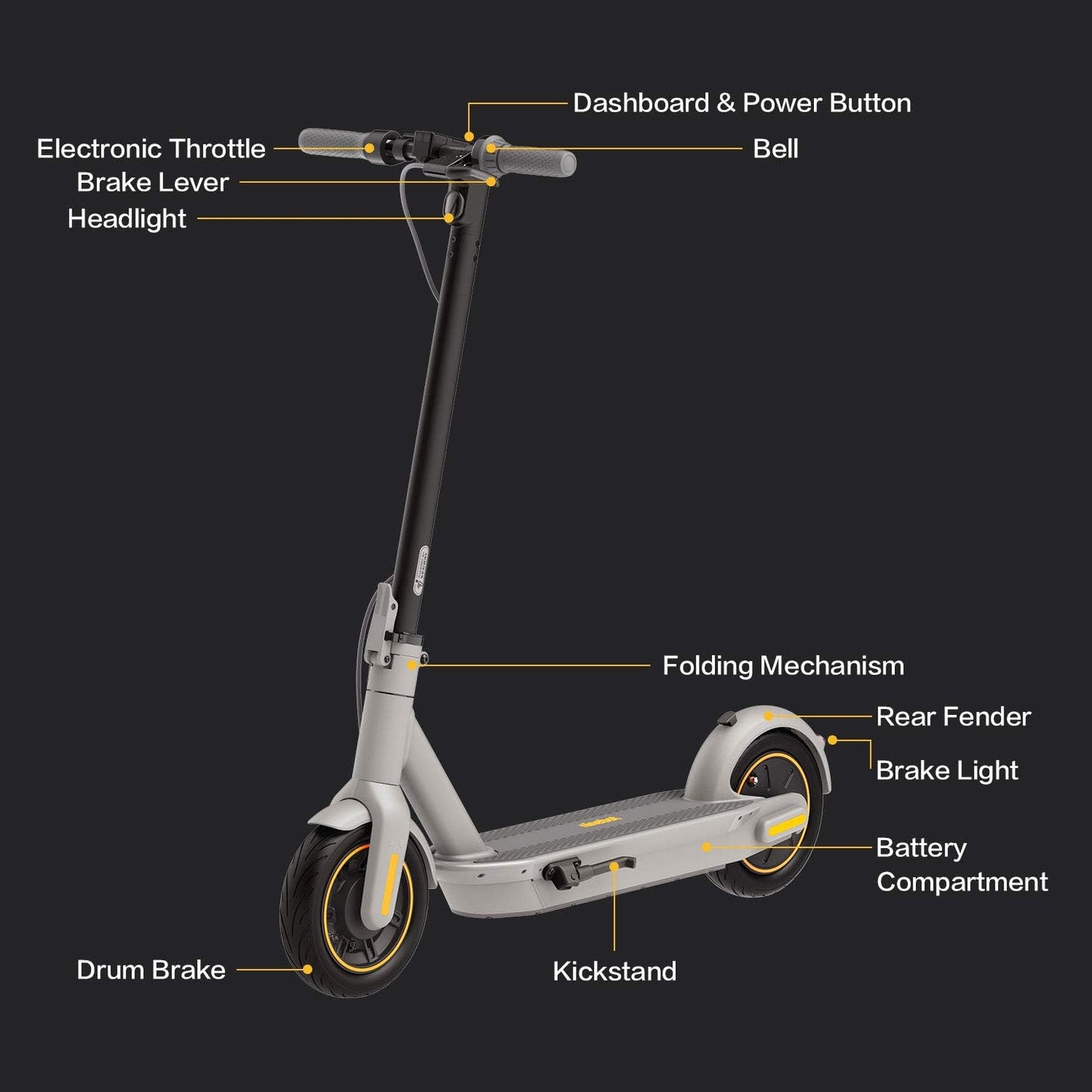 Segway Ninebot MAX Electric Kick Scooter w/Powerful Motor, Long Miles Range, 18.6 & 22mph Top Speed, Dual Suspension (MAX G2 Only), Scooter for Adults UL-2271 2272 Certified