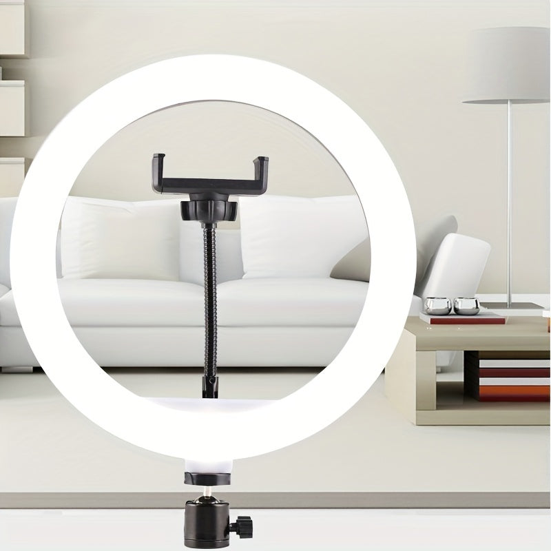 10" LED Circle Light With Flexible Tripod Stand & Phone Holder