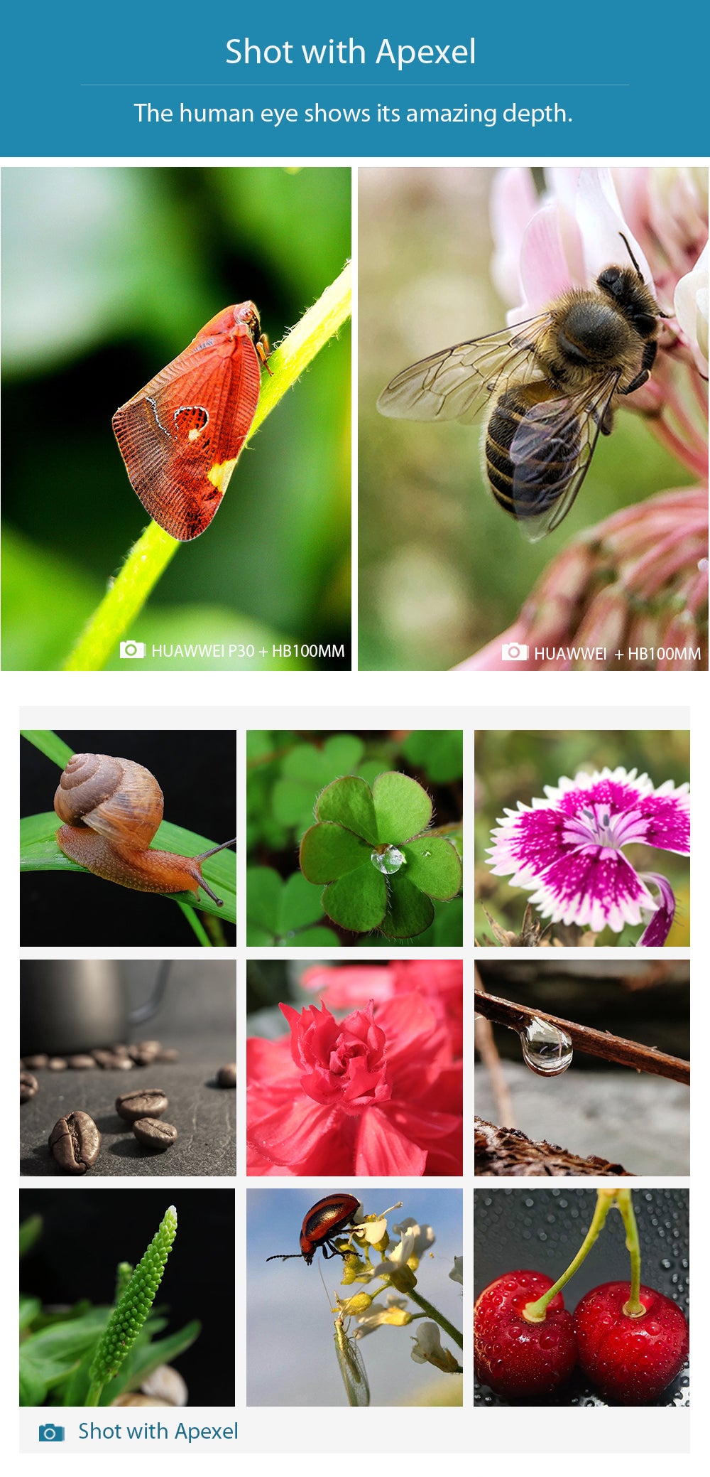 APEXEL HD Optic Camera Phone Lens 100mm Macro Lens With 17mm Universal Clip For IPhone Samsung Xiaomi Most Smartphones