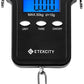 Etekcity Luggage Scale for Travel Essentials, Digital Suitcase Weight Scale with Hook, Portable Hanging Baggage Scale for Travel Accessories, 110 Pounds, Battery Included
