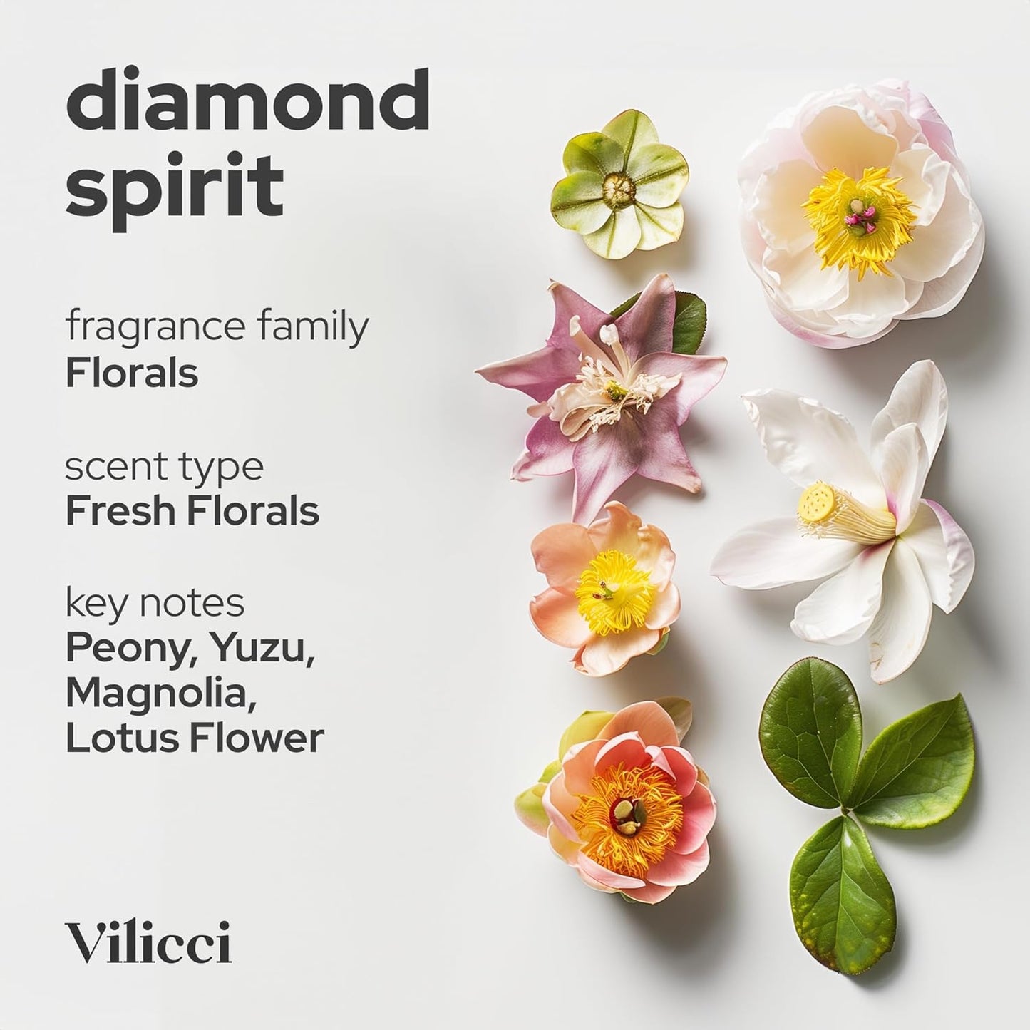 Vilicci Car Air Freshener - Tobacco Vanilla Scent - Elegant Car Fresheners, Air Freshener for Car, Premium Car Hanging Air Freshener, Long-Lasting Fragrance for Auto and Home, 1 Bottle