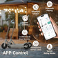 Commugo Electric Scooter for Adults 300 lbs, 8.5 Inch/10 Inch Tires, 500W Peak Motor 19 Mph Speed, 17/21 Miles Max Range Foldable Commute E-Scooter with Dual Braking System, App Control