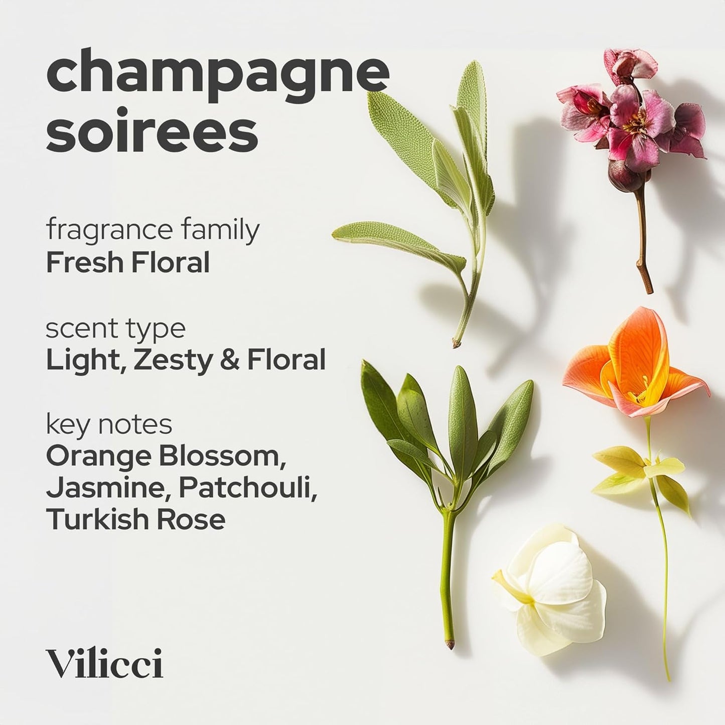 Vilicci Car Air Freshener - Tobacco Vanilla Scent - Elegant Car Fresheners, Air Freshener for Car, Premium Car Hanging Air Freshener, Long-Lasting Fragrance for Auto and Home, 1 Bottle