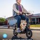 Gyroshoes Electric Scooter with Seat for Adults, 550W Powerful Motor, 20-Mile Range, Speed up to 18.6MPH, Ample Storage for Pets &amp; Cargo, Electrically-Powered Motor Scooters