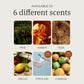 Drift Car Air Freshener - Stone Air Freshener - Car Odor Eliminator - Teak Scent Starter Kit