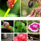 APEXEL HD Optic Camera Phone Lens 100mm Macro Lens With 17mm Universal Clip For IPhone Samsung Xiaomi Most Smartphones