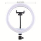 10" LED Circle Light With Flexible Tripod Stand & Phone Holder