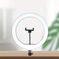 Ringlight 13 Inch Selfie Ringlight With Tripod Stand & Flexible Phone Holder, Dimmable Led Light Stand Gift For Birthday/Easter/President's Day/Boy/Girlfriends